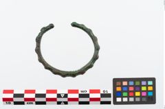 Foto von Bronzearmreif (NHMW-PRAE-024539)